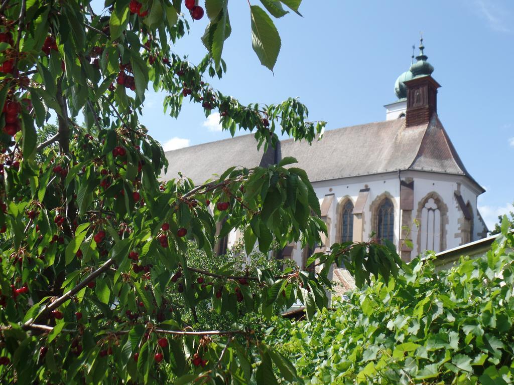 Penzion Oaza Levoča Εξωτερικό φωτογραφία